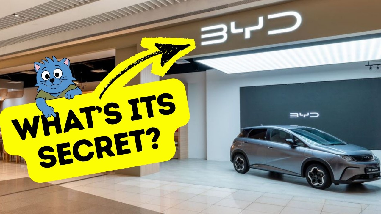 How BYD Grew So Fast (The Real Reason)